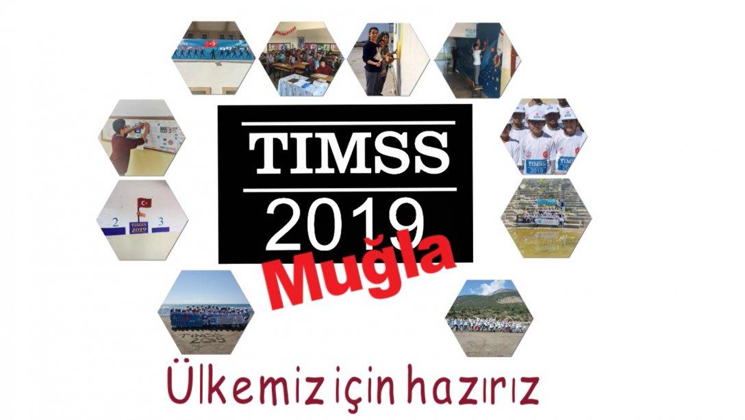  TİMSS 2019 
